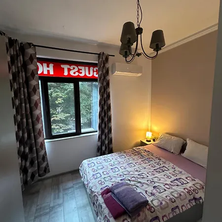 بيت شباب Comfort Guest بلوفديف